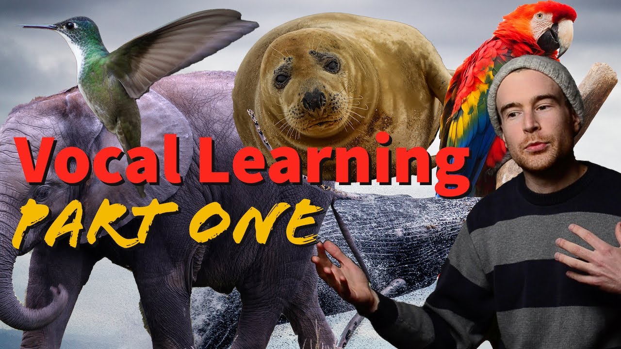 Thumbnail for Vocal Learning Part One